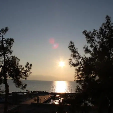 Inn Tsirigotis Sea View Loutra Edipsou (Evia)